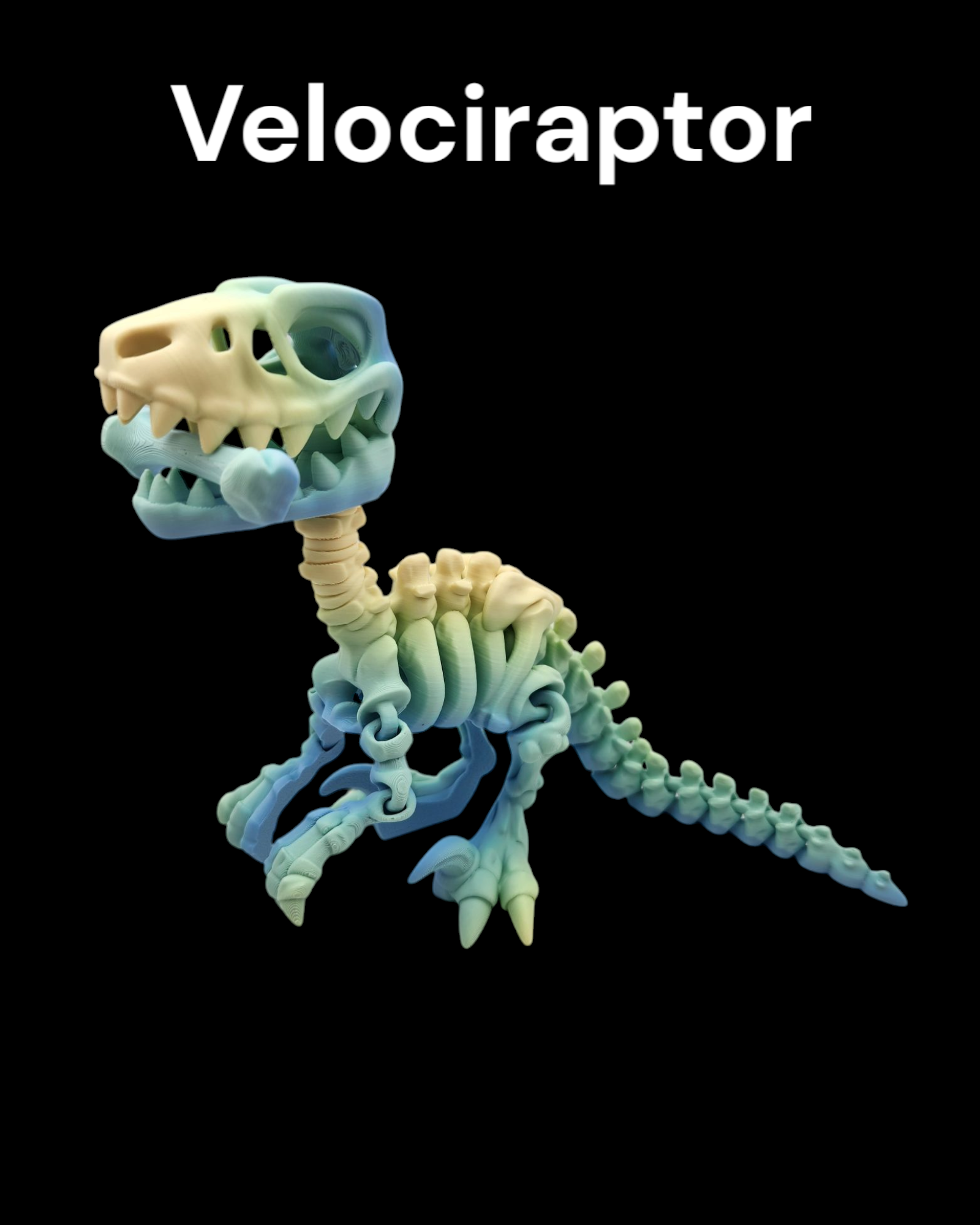 Velociraptor – Prestige 3D Prints