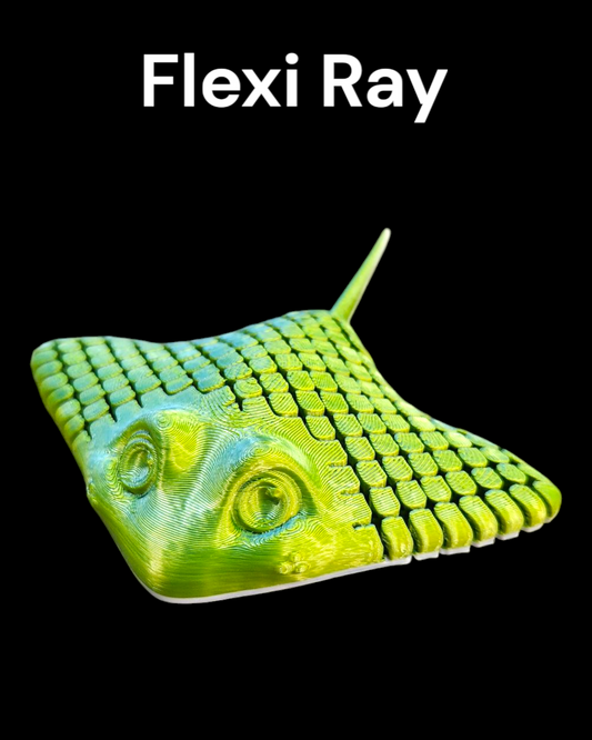 Flexi Ray